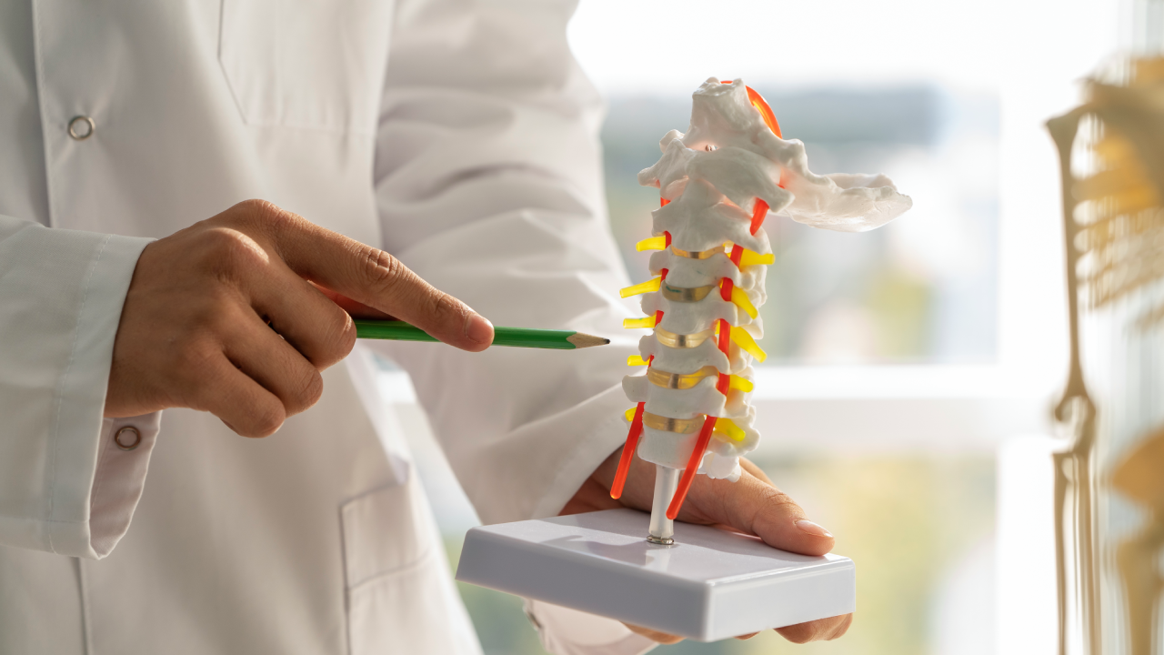 Degenerative Disc Disease